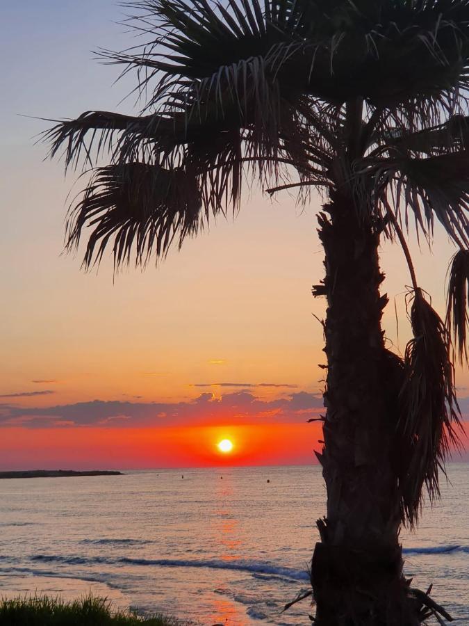 Gemuetliche Ferienwohnung In Torrevieja Ca100M Vom Strand Playa Del Cura Entfernt Εξωτερικό φωτογραφία